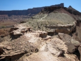 Moab-White Rim 4-08 090